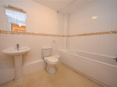 Picture 14